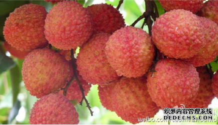 个头适中的荔枝鲜香诱人 作者:草莓周末 图片来源:新浪微博 个头适中的荔枝鲜香诱人 作者:草莓周末 图片来源:新浪微博